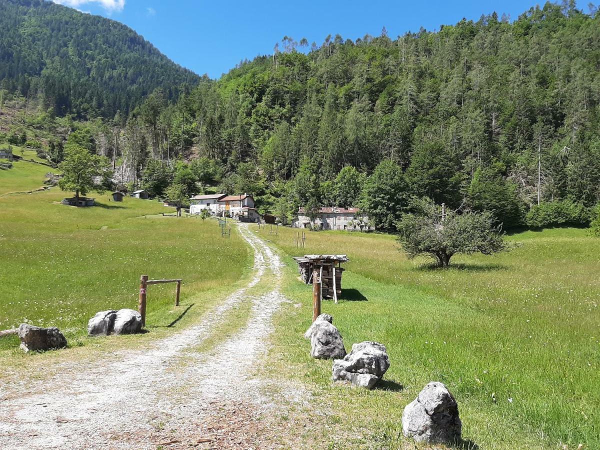 Appartamento Kalipè Dolomiti Soffranco Esterno foto