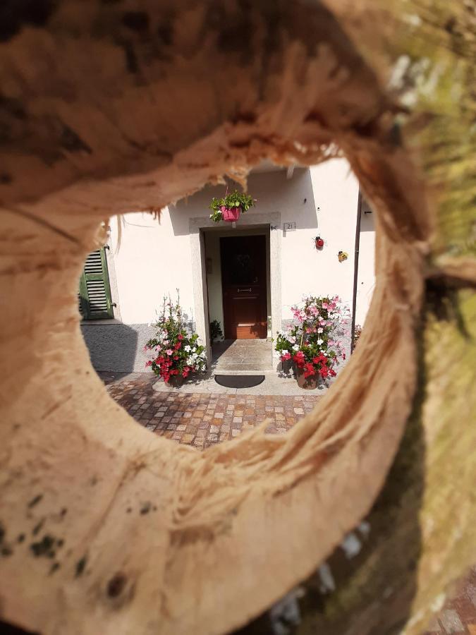 Appartamento Kalipè Dolomiti Soffranco Esterno foto