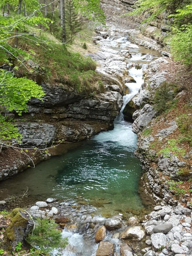 Appartamento Kalipè Dolomiti Soffranco Esterno foto