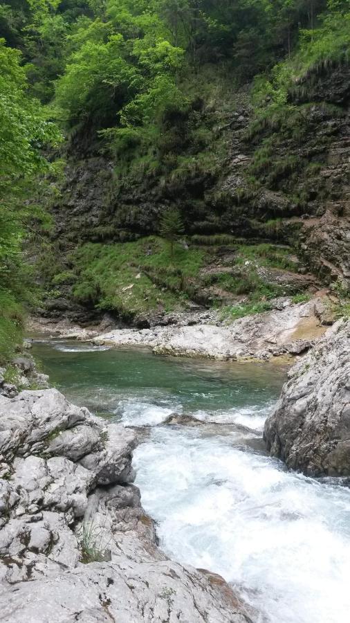 Appartamento Kalipè Dolomiti Soffranco Esterno foto