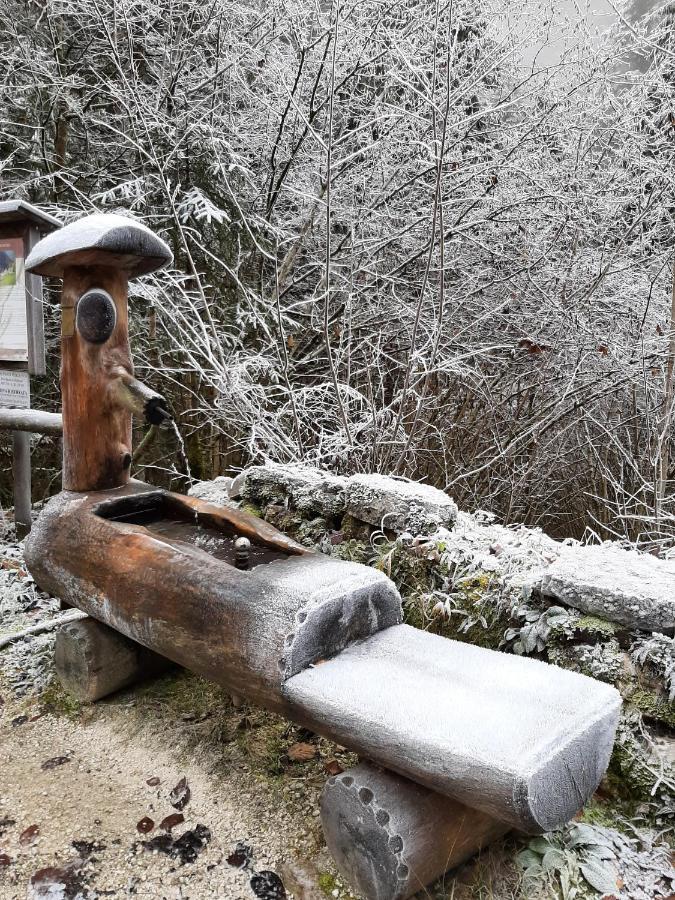 Appartamento Kalipè Dolomiti Soffranco Esterno foto
