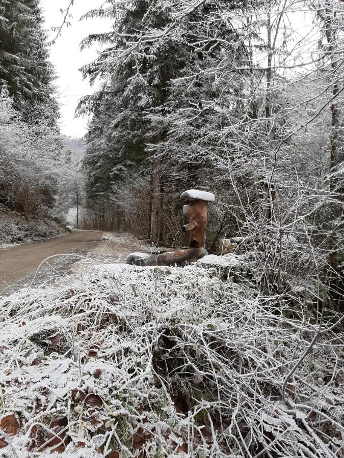Appartamento Kalipè Dolomiti Soffranco Esterno foto